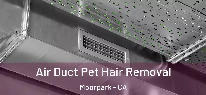  Air Duct Pet Hair Removal Moorpark - CA