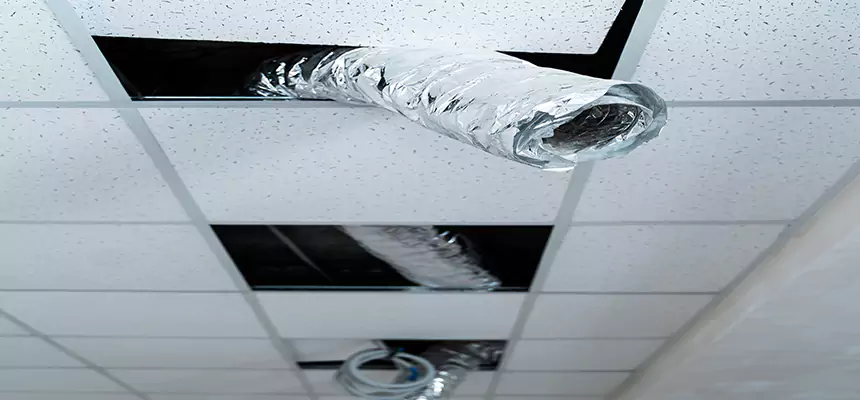 Affordable HVAC Sanitizing After Pest Removal in Moorpark