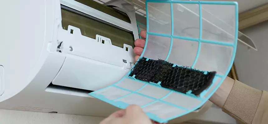 Gentle Ductwork Odor-Control Pet Dander Duct Cleaning in Moorpark, CA