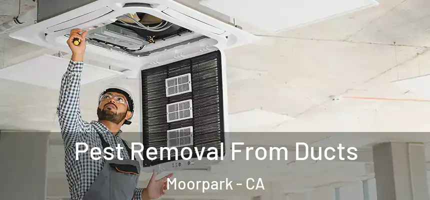  Pest Removal From Ducts Moorpark - CA