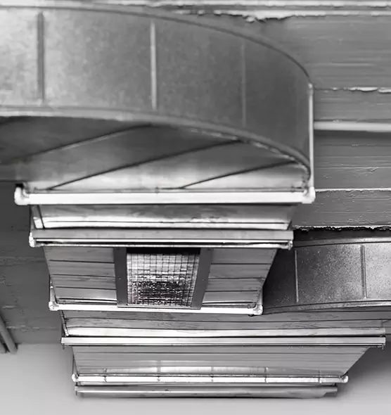 Professional Air Duct Pest Removal in Moorpark, CA