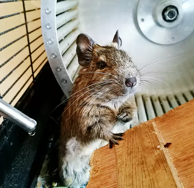 Why Homeowners & Businesses Trust Us Moorpark, CA